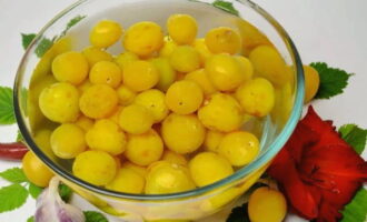 Cách làm nước sốt tkemali từ mận anh đào cho mùa đông? Chúng tôi phân loại các loại quả mọng, ngâm chúng trong nước lạnh trong vài phút và rửa sạch lại.