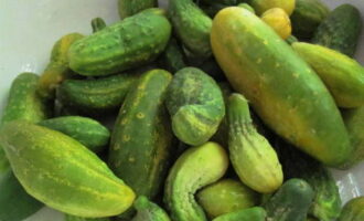 Cum se prepară salata Winter King din castraveți pentru iarnă? Selectați numărul necesar de castraveți și spălați-i sub apă.