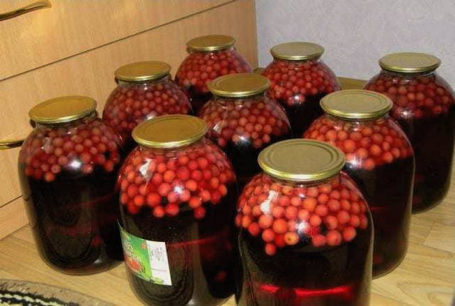 Compote van druiven voor de winter