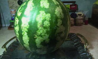Paano maghanda ng watermelon compote para sa taglamig sa isang 3 litro na garapon? Hugasan nang maigi ang pakwan at patuyuin ang ibabaw nito.