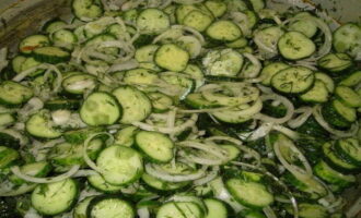 Col·loqueu els cogombres, l'anet i les cebes en un recipient resistent a la calor de mida adequada, condimenteu amb sal, pebre, no us oblideu del sucre, barregeu bé amb les mans, però no tritureu. Deixeu l'amanida durant mitja hora en una habitació tèbia per deixar anar el suc. Durant 30 minuts, podeu remenar el contingut del recipient per alliberar el suc de les verdures de manera més uniforme. Un cop passat el temps especificat, afegiu vinagre als cogombres i torneu a barrejar. Col·loqueu els cogombres, l'anet i les cebes en un recipient resistent a la calor de mida adequada, condimenteu amb sal, pebre, no us oblideu del sucre, barregeu bé amb les mans, però no tritureu. Deixeu l'amanida durant mitja hora en una habitació tèbia per deixar anar el suc. Durant 30 minuts, podeu remenar el contingut del recipient per alliberar el suc de les verdures de manera més uniforme. Un cop passat el temps especificat, afegiu vinagre als cogombres i torneu a barrejar.