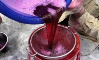 Colar la barreja a través d'un colador i esprémer el pastís a través d'una gasa.Aboqueu la polpa (suc de raïm) amb aigua a raó d'1 litre d'aigua per 10 kg de llavors, barregeu-ho i premeu-ho de nou. 