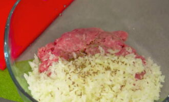 Tillsätt även spiskummin och en blandning av paprika, hackad koriander och salt efter smak. Tillsätt även spiskummin och en blandning av paprika, hackad koriander och salt efter smak.