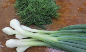Hur lagar man klassisk okroshka på kvass med korv? Tvätta salladslök och dill. Finhacka dem med en kniv.