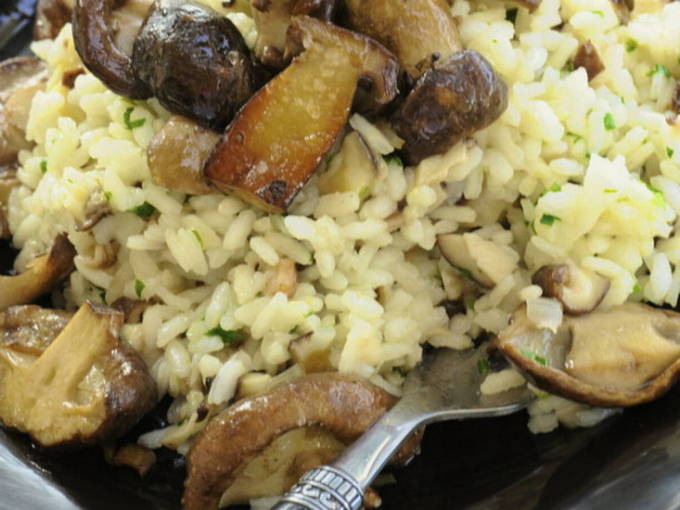 Risotto met champignons
