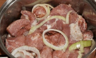 Balatan ang dalawang sibuyas at alisin ang mga balat. Gupitin ang mga sibuyas sa mga singsing na hindi hihigit sa isang sentimetro ang kapal. Ilagay ang mga piraso ng kebab sa isang hiwalay na lalagyan, takpan ang mga ito ng isang layer ng sibuyas, asin at paminta, ilatag ang bay leaf at ibuhos ang suka. Paghaluin ang laman ng lalagyan.