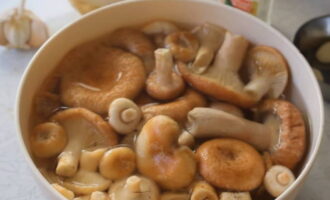 วิธีการดอง volushki ร้อนในขวด? ก่อนเริ่มปรุงอาหาร ให้แยกเห็ดออกแล้วแช่ในน้ำเย็น เราเปลี่ยนทุกๆ 3-4 ชั่วโมง เพื่อให้ความขมหายไปจากแตน