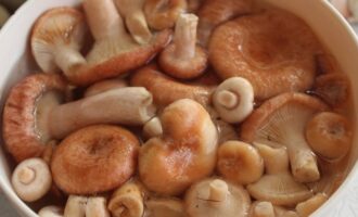 Doe de bereide champignons in een grote bak en vul ze met koud water. Laat het twee dagen op een koele plaats staan. We verversen het water periodiek om de vloeistof schoon en fris te houden.