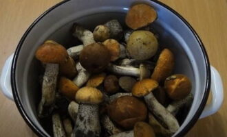 Nấm boletus ngâm trong lọ cho mùa đông? Nấm boletus tươi thu hái trước tiên phải được làm sạch hoàn toàn các mảnh vụn. Sau đó rửa sạch nấm dưới vòi nước.
