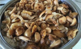 Cách nấu khoai tây chiên nấm mật ong? Luộc nấm đã gọt vỏ và rửa sạch trong nước có thêm muối trong 10 phút rồi cho vào chao để ráo nước. Cách nấu khoai tây chiên nấm mật ong? Luộc nấm đã gọt vỏ và rửa sạch trong nước có thêm muối trong 10 phút rồi cho vào chao để ráo nước.