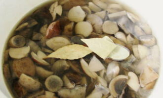Cho boletus trở lại chảo sạch, thêm nước vừa đủ ngập chúng, thêm lá nguyệt quế, hạt tiêu, đinh hương và lượng muối quy định. Đun sôi, đợi cho đến khi nấm bắt đầu lắng xuống. Thêm giấm, đun sôi trong khi khuấy trong vài phút.