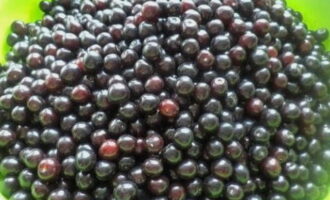 Hoe vogelkersencompote voor de winter bereiden in een pot van 3 liter? We sorteren de vogelkers en verwijderen alle bedorven bessen, vlekjes en twijgen.