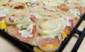 Susunod, ilagay ang layer ng karne, ibuhos din ito ng pagpuno ng kefir. Ilagay ang mga adobo na sibuyas sa itaas.