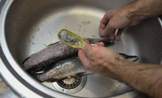 Hur lagar man forellbiff i ugnen? Vi rengör fisken från fjäll med en kniv, skär av onödiga delar - fenor och huvud. Vi gör ett snitt längs med magen på öringen och tar bort inälvorna. Tvätta fisken noggrant och torka med hushållspapper.
