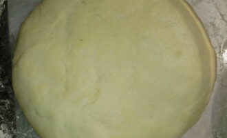 Este foarte ușor să pregătiți o umplutură delicioasă pentru plăcinte. Amestecați ingredientele pentru aluat într-un recipient adânc adecvat. La sfârșit, adăugați făină și frământați bine până când aluatul devine ferm, dar moale. Lăsați 20 de minute sub un prosop.