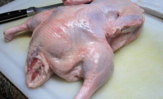 Hoe bak je eend met boekweit in de oven? Om het gerecht te bereiden, selecteert u een eend die groot genoeg is en wast u deze aan alle kanten grondig met stromend water. We plaatsen de vogel op het werkoppervlak van de tafel en vegen hem af met keukenpapier. Doe de eend in een grote, diepe kom.