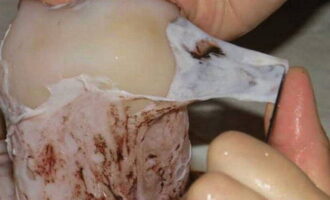Làm thế nào để chuẩn bị một bữa ăn nhẹ bia nhanh chóng và ngon miệng tại nhà? Thân mực trước tiên phải được làm sạch: loại bỏ màng và các bộ phận không cần thiết khác. Chúng tôi rửa sạch sản phẩm và lau khô bằng khăn giấy, hút ẩm.