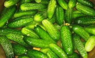 Cum se prepară castraveți murați în borcane pentru iarnă? Selectam castraveti mici, ii curatam de murdarie si stergem cosurile. Înmuiați castraveții în apă rece timp de cel puțin 6 ore.