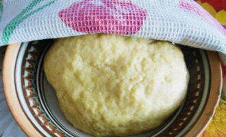 Acoperiți produsul cu un prosop și lăsați la loc cald timp de 1 oră.