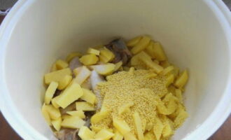 Till det gyllene köttet lägger vi till potatiskuber, noggrant tvättad hirs och salt efter din smak.