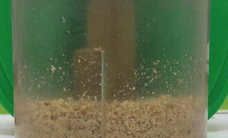 Măcinați sâmburii într-o râșniță de cafea sau blender până la consistența pulberii. Măcinați sâmburii într-o râșniță de cafea sau blender până la consistența pulberii.