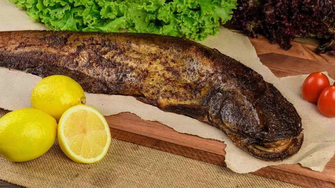 Burbot rätter