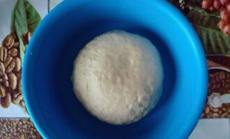 Și apoi, trecem la frământarea manuală și formăm o minge - acoperim cu un prosop și trecem într-un loc cald timp de 40 de minute.