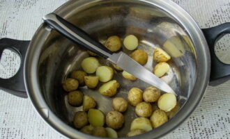 Kholodnikul clasic este foarte simplu de preparat. Spălați în prealabil tuberculii mici de cartofi tineri cu o perie, fierbeți-i fără a îndepărta pielea și răciți complet. Apoi tăiați-le în jumătăți și puneți-le într-un recipient de depozitare la rece.