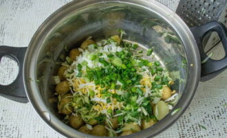Ceapa verde se toaca marunt si se adauga la restul ingredientelor.