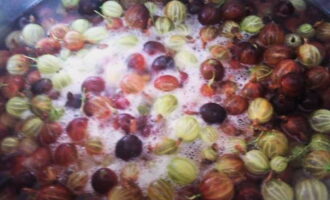 Ilagay ang mga inihandang gooseberries sa isang mangkok para sa paggawa ng jam, magdagdag ng 200 ML ng malinis na tubig at pakuluan sa mataas na init. Agad na alisin ang foam mula sa ibabaw. Pakuluan ang mga berry sa loob ng dalawang minuto at idagdag ang kinakalkula na halaga ng asukal. Paghaluin ang lahat hanggang sa ganap na matunaw ang asukal. Lutuin ang jam sa mataas na apoy sa loob ng 3 minuto, alisin ang bula.