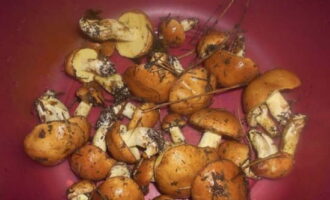 Stekt boletus i en stekpanna är väldigt enkel att tillaga. Rengör nyplockad boletus från skogsskräp. Ta sedan försiktigt bort huden från locken, även om de ibland låter den sitta kvar. Skölj svampen noggrant under rinnande vatten och skär i små bitar.