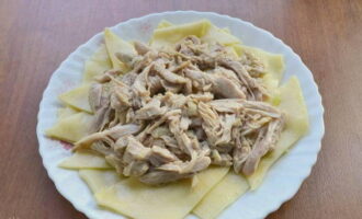Lägg de färdiga nudlarna på en platt tallrik. Lägg bitar av kycklingkött, separerade från benet, på nudlarna.
