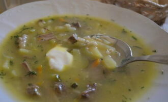 Leningrad rassolnik amb ordi perlat segons la recepta clàssica està llest. Abocar en plats, afegir crema agra i servir amb pa negre!