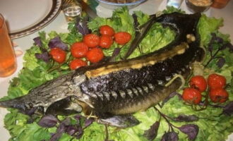 Efter en halvtimme, kontrollera beredskapen, öka gräddningstiden vid behov. Ta försiktigt ut pannan från ugnen. Packa upp folien. Överför försiktigt fisken till den förberedda skålen. Dekorera med örter och favoritgrönsaker. Unna dina gäster. Smaklig måltid!