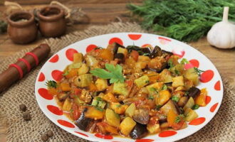 Cina fără carne este gata! Asezati tocanita delicioasa pe farfurii si garnisiti cu ierburi. Poftă bună!