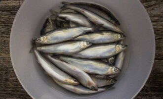 Vendace thường được dùng tươi nhưng đôi khi cũng được dùng đông lạnh. Đắp cá bằng nước và để tan băng.