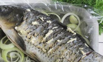 วางปลาคาร์พไว้บนเตียงหัวหอม