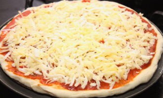 Maal de mozzarella op een grove rasp en verdeel gelijkmatig over de saus, zodat de garnalen duidelijk zichtbaar zijn tegen de achtergrond van de kaas, wat smakelijker zal zijn.
