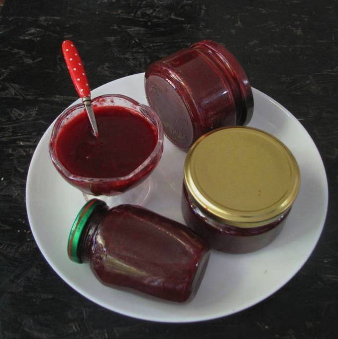 Melmelada de prunes per a l'hivern
