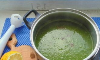 Fierbe mâncarea timp de 60 de secunde și asezonează cu sare, condimente și suc acru de citrice - se amestecă cu un blender.