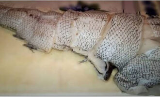 Rửa lựu, cắt thành từng miếng và đặt vào một cái chao trong 1 giờ để thoát ra càng nhiều chất lỏng càng tốt.