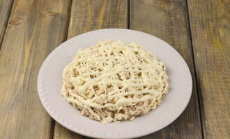 Tiếp theo chúng tôi bày ra phi lê gà. Muối sản phẩm một lần nữa và đổ sốt mayonnaise lên nó.