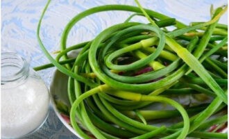 Để chế biến mũi tên tỏi qua máy xay thịt cho mùa đông, chúng ta sẽ chuẩn bị những sản phẩm cần thiết.