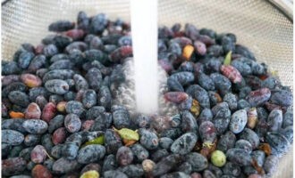 Cum să prepari piure de caprifoi cu zahăr fără să gătești pentru iarnă? Măsurăm numărul necesar de fructe de pădure. Le clătim sub apă și le aruncăm într-o strecurătoare.