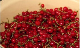 Hur gör man en läcker rödvinbärsförberedelse för vintern? Vi sorterar och tvättar bären väl. Grenarna behöver inte tas bort.