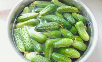 Per preparar deliciosos cogombres amb llavors de mostassa per a l'hivern, renteu bé les verdures. Transferiu-lo a un recipient gran, en aquest cas una conca. Ompliu amb aigua freda i deixeu-ho un parell d'hores.