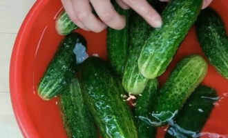 Per preparar cogombres massa grans per a l'hivern, et lleparàs els dits, rentaràs bé les verdures. Remullar en aigua freda durant almenys 2 hores.
