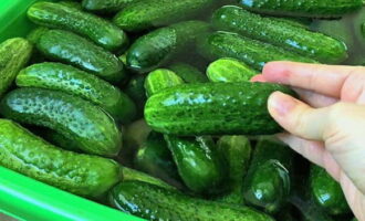 Pentru castraveți murați crocanți în borcane de 3 litri pentru iarnă cu oțet, înmuiați mai întâi legumele în apă rece timp de câteva ore. După aceea spălăm produsul.