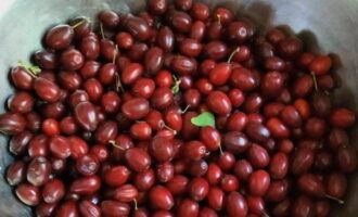 We meten het benodigde aantal bessen af ​​om kornoeljecompote voor de winter te bereiden in een pot van 3 liter. We sorteren de ingrediënten en verwijderen takken en vuil.