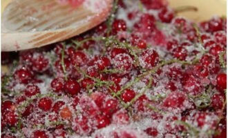 Tillsätt socker till ingrediensen och blanda.